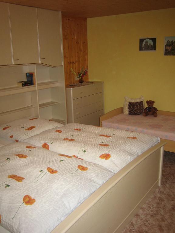 Apartment Schlafwandler Steinigtwolmsdorf Værelse billede
